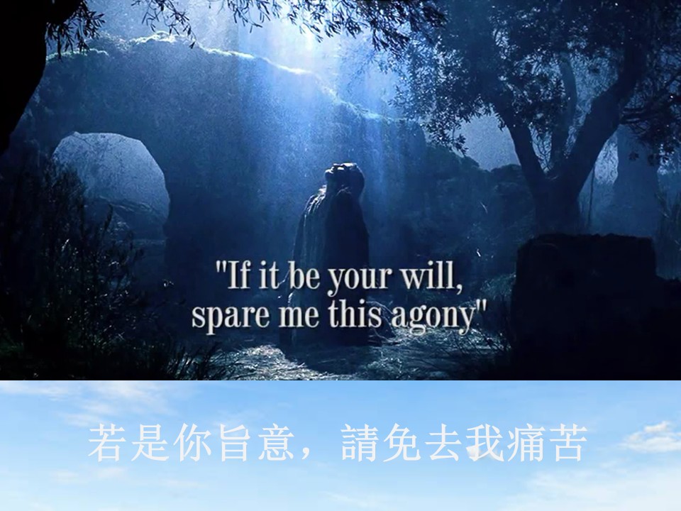第二堂其他图片